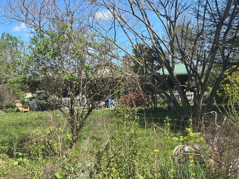 24121 Sheets Mccoy Road , New Plymouth, OH 45654 Photo 2