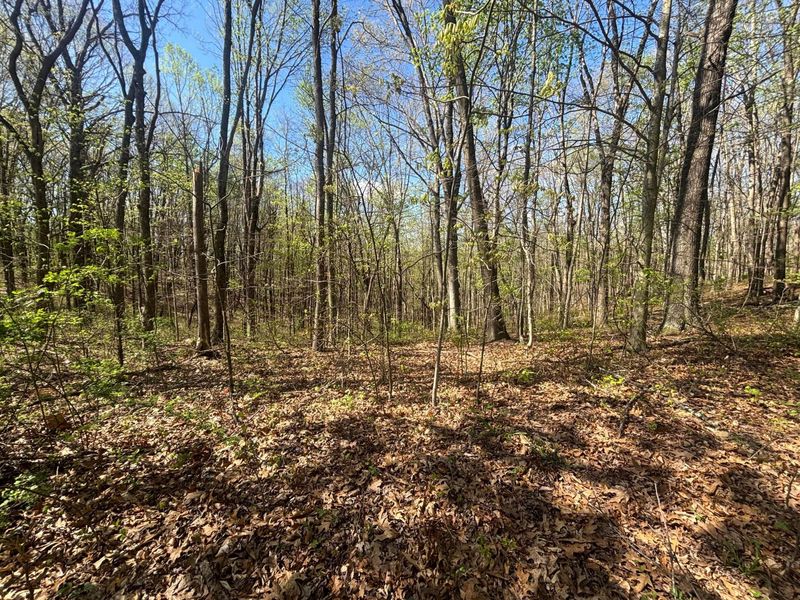 24121 Sheets Mccoy Road , New Plymouth, OH 45654 Photo 7