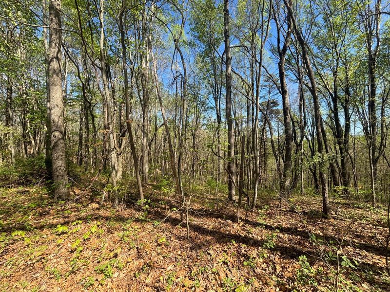 24121 Sheets Mccoy Road , New Plymouth, OH 45654 Photo 8