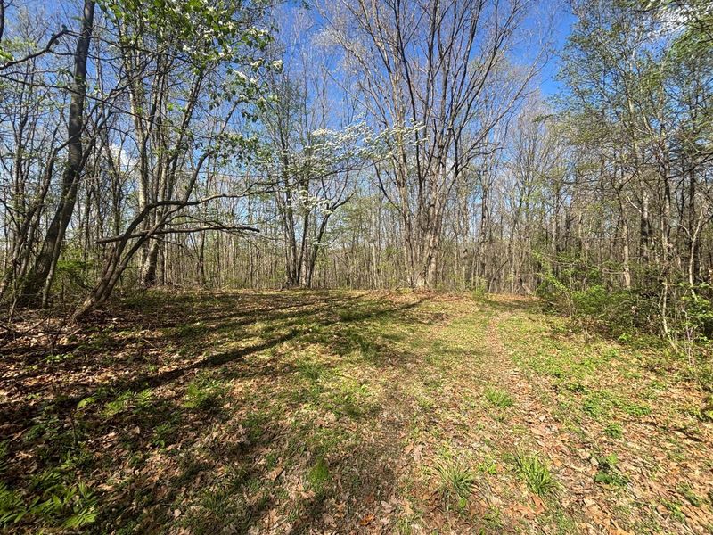 24121 Sheets Mccoy Road , New Plymouth, OH 45654 Photo 9