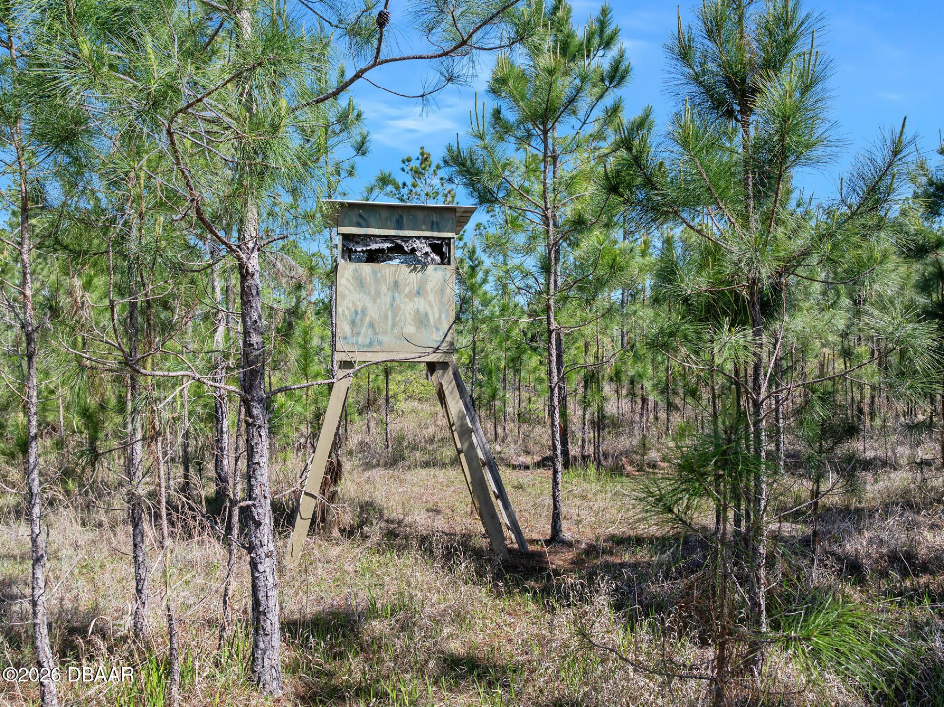 0 Carter Street, Bunnell, FL 32110 Photo