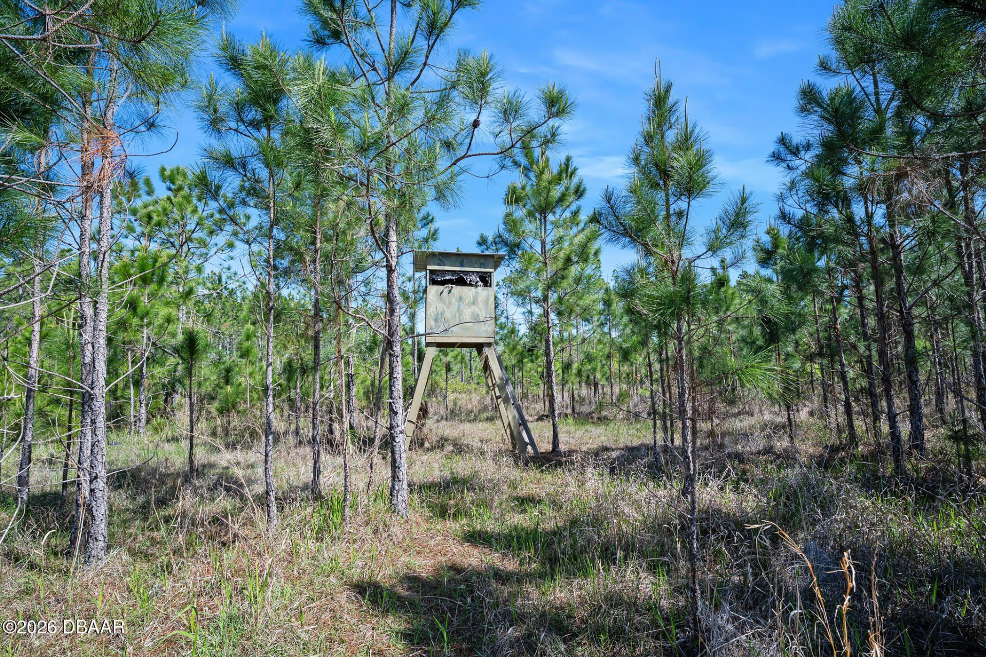 0 Carter Street, Bunnell, FL 32110 Photo