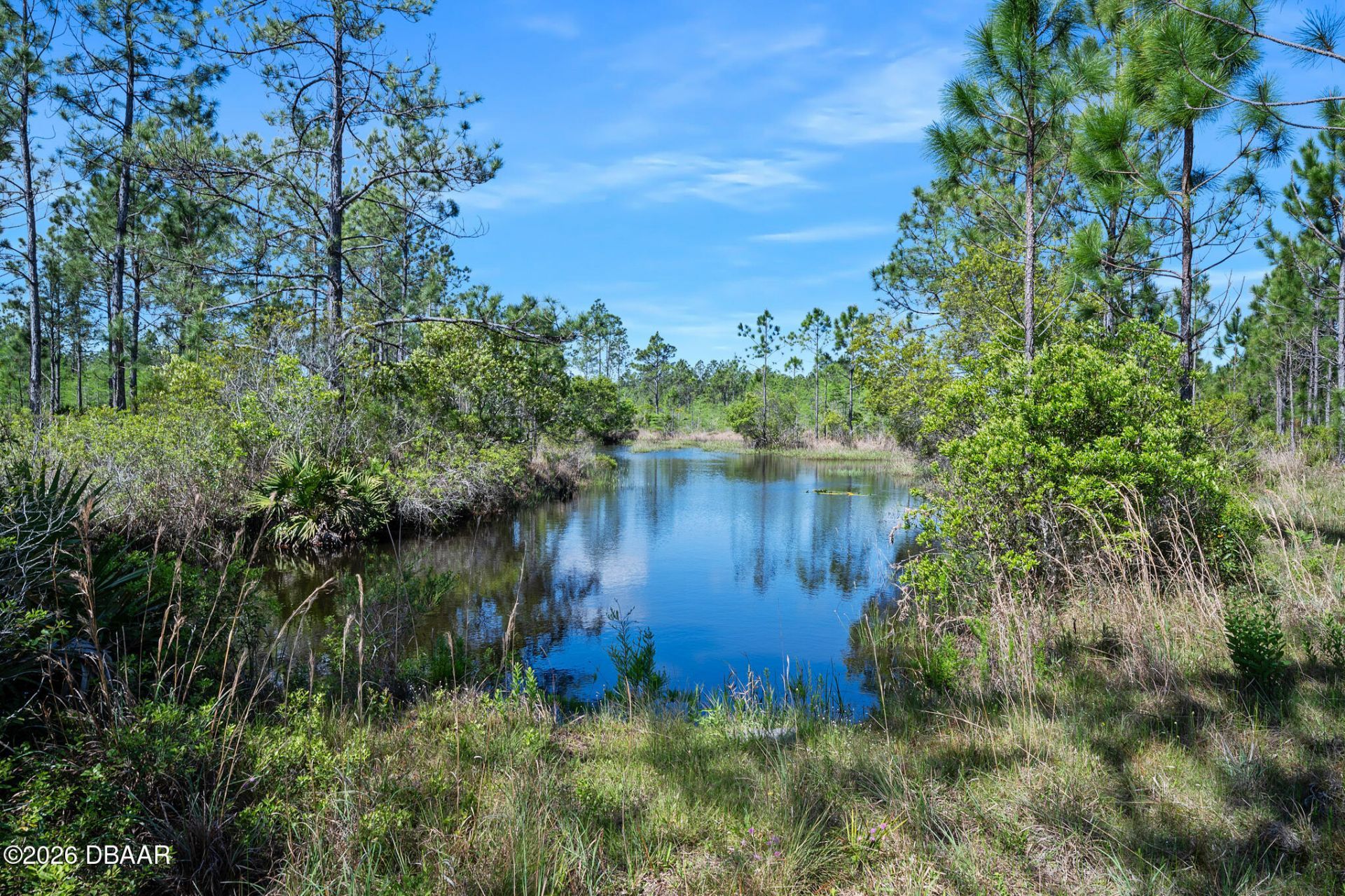 0 Carter Street, Bunnell, FL 32110 Photo