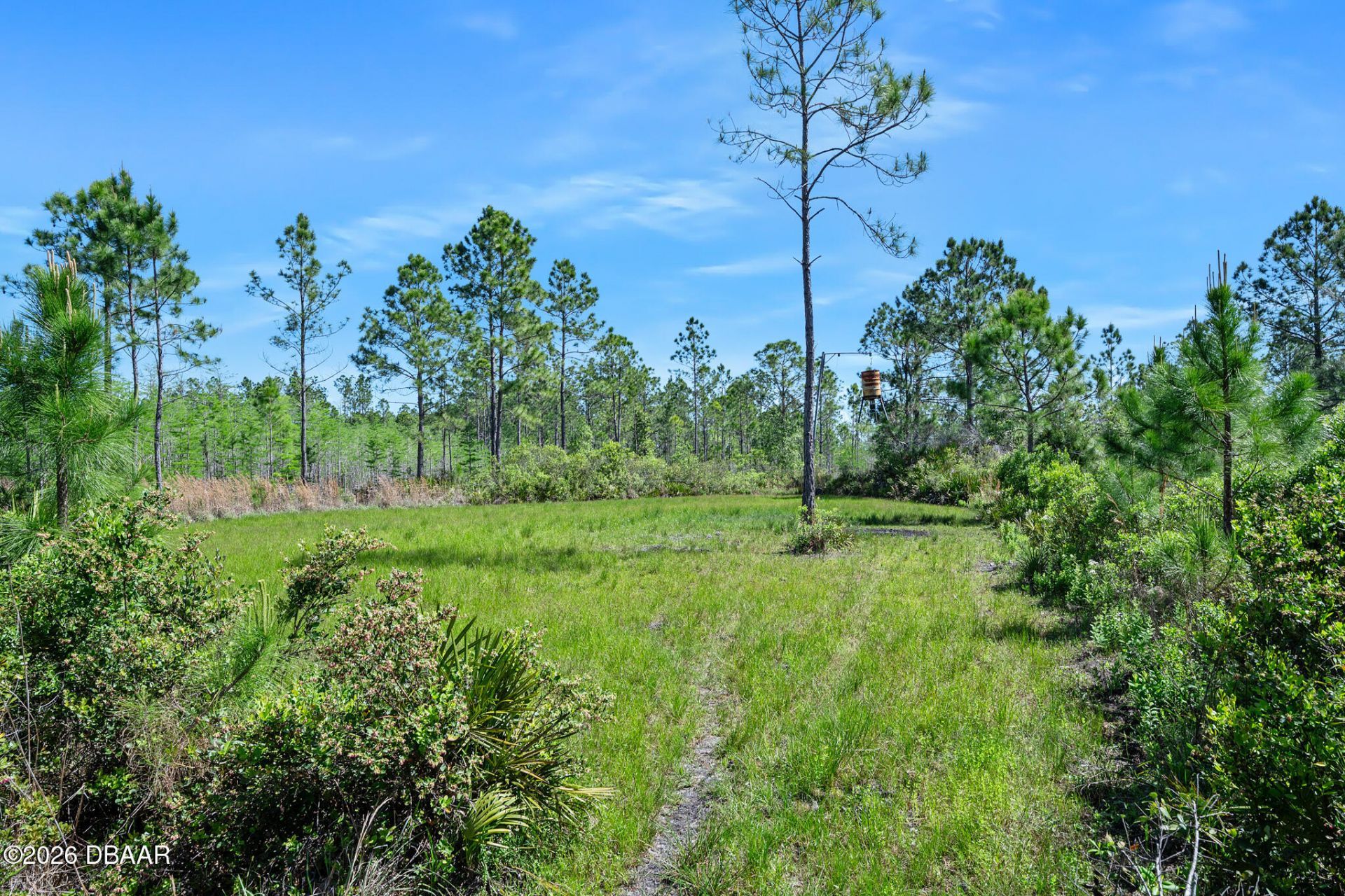 0 Carter Street, Bunnell, FL 32110 Photo