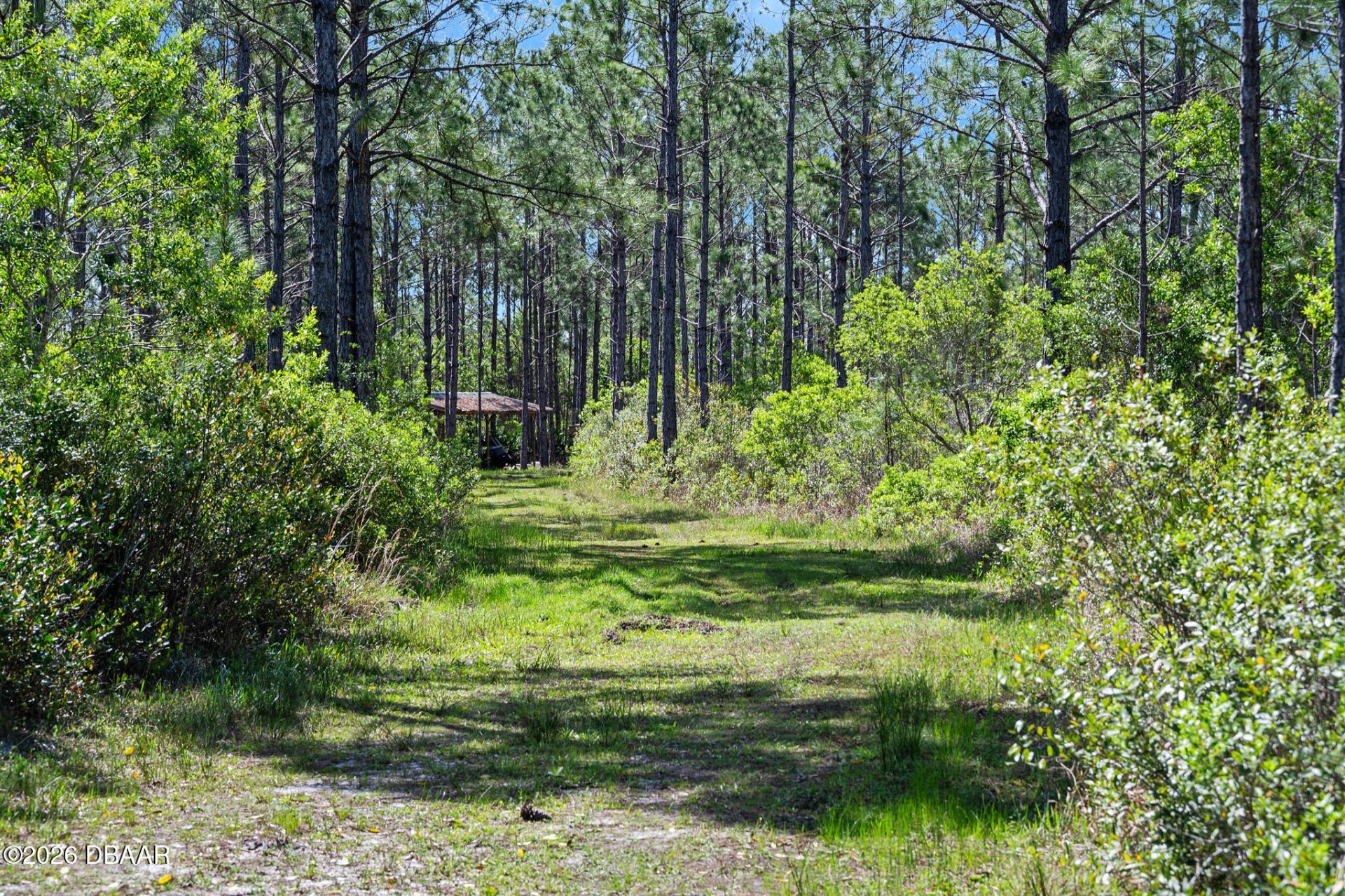 0 Carter Street, Bunnell, FL 32110 Photo