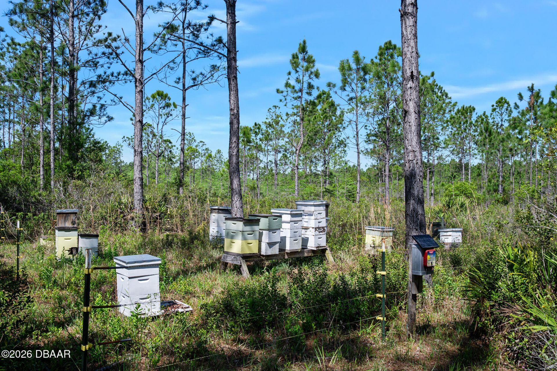 0 Carter Street, Bunnell, FL 32110 Photo