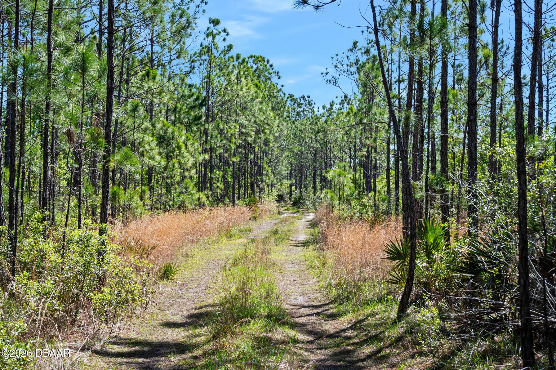 0 Carter Street, Bunnell, FL 32110 Photo