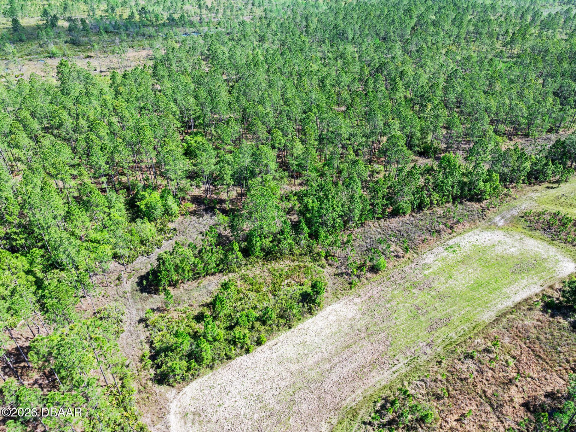 0 Carter Street, Bunnell, FL 32110 Photo