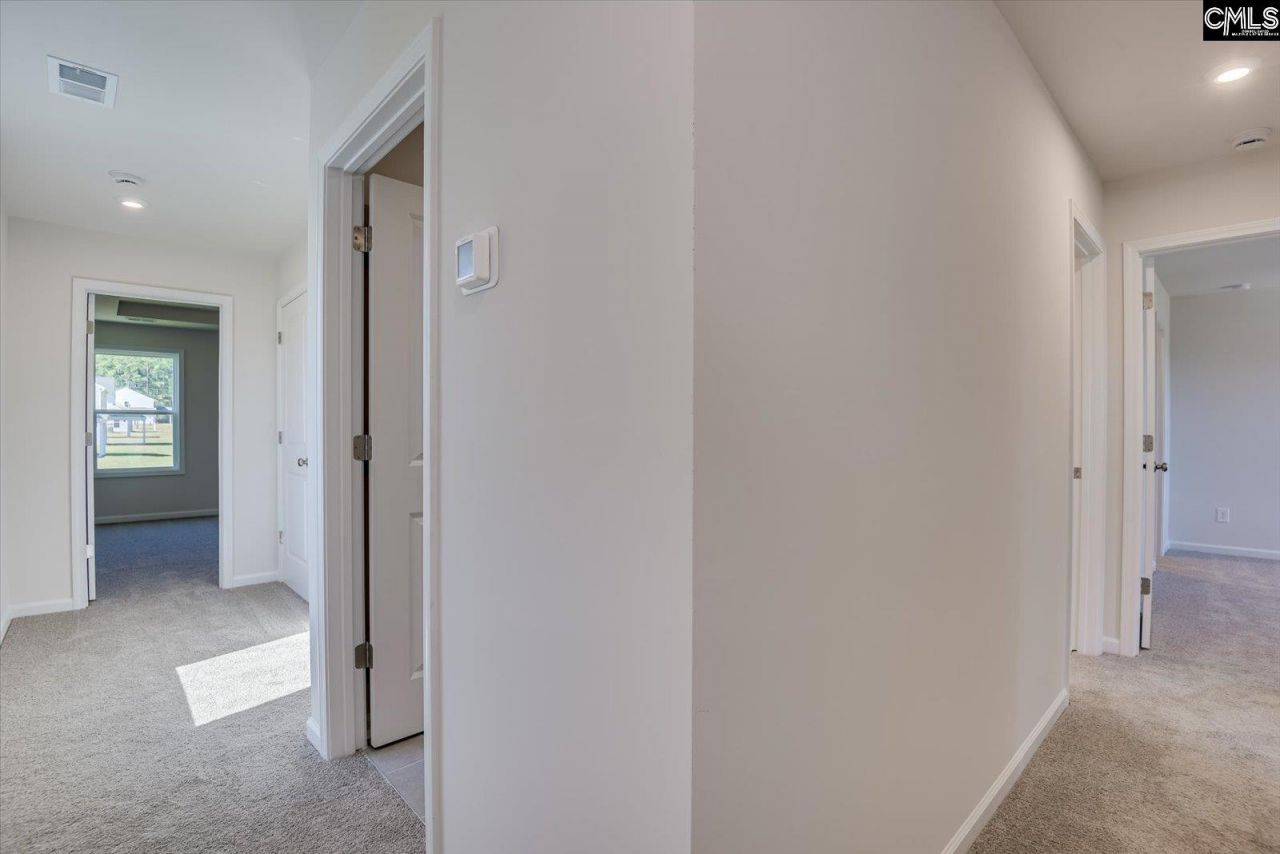 313 Brass Billion Path  Photo 20