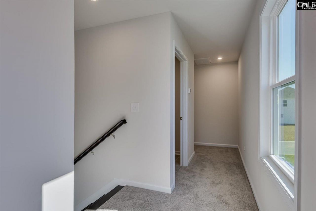 313 Brass Billion Path  Photo 25