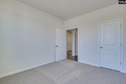 313 Brass Billion Path  photo 4