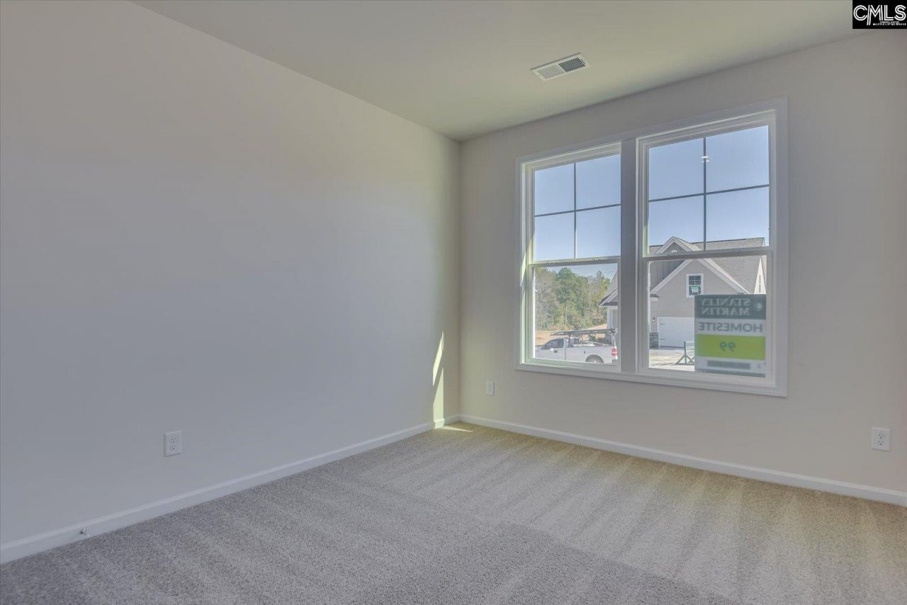 313 Brass Billion Path  Photo 6