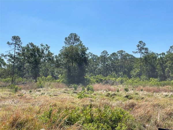 AVONWOOD, TAMPA, FL 33625