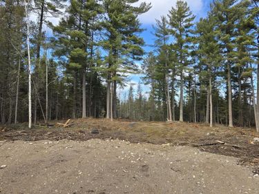 TBD 13.7 Crane Lake Road , Crane Lake, MN 55725