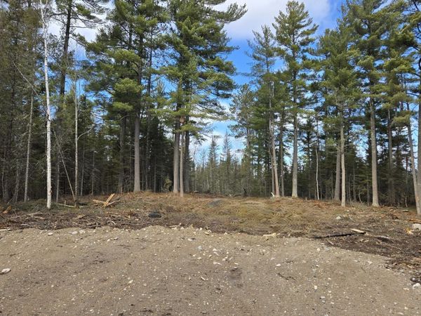 TBD 13.7 Crane Lake Road , Crane Lake, MN 55725