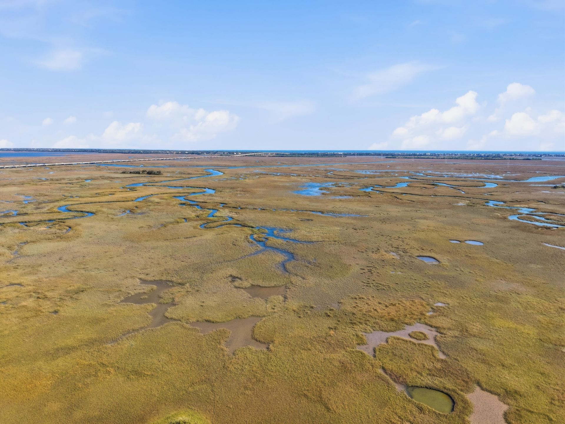 2105 Cape Jasmine Court Photo 123