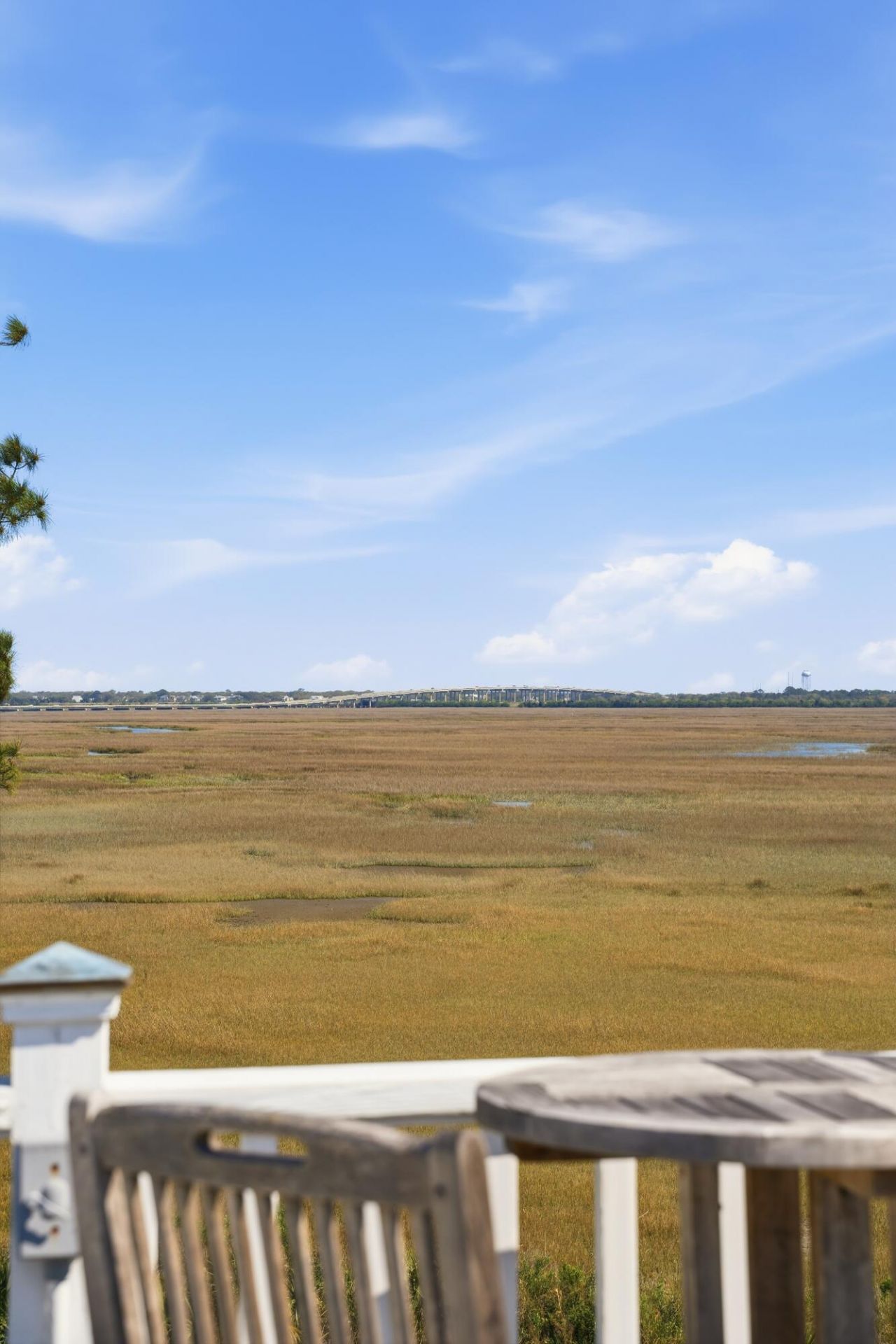 2105 Cape Jasmine Court Photo 86