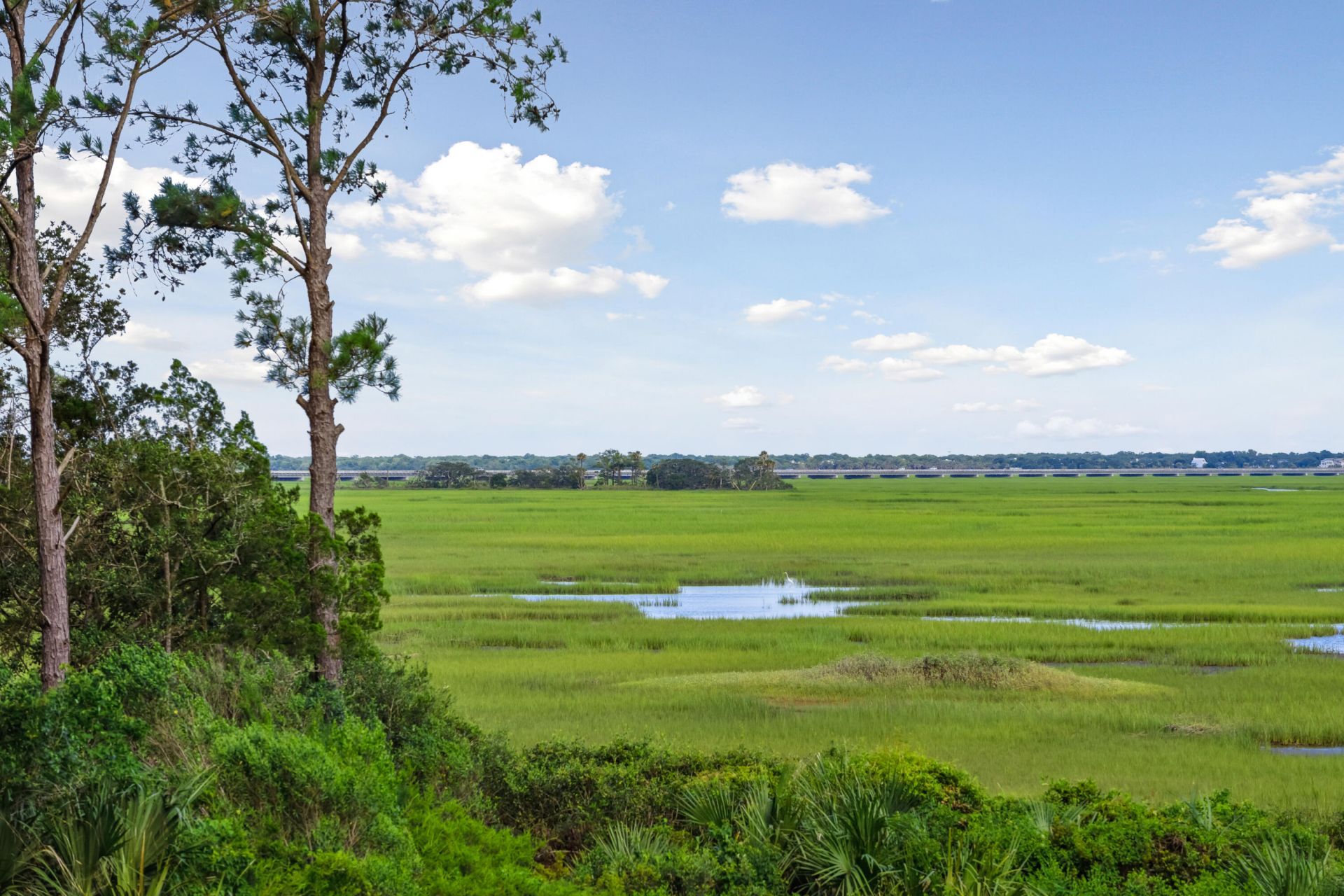 2105 Cape Jasmine Court Photo 88