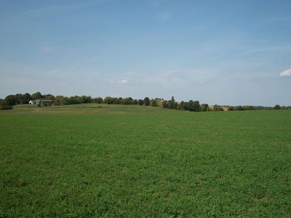 Lt1 Wilson Dr, Wayne, WI 53002