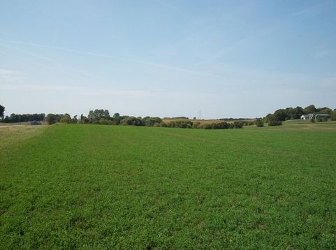 Main Photo