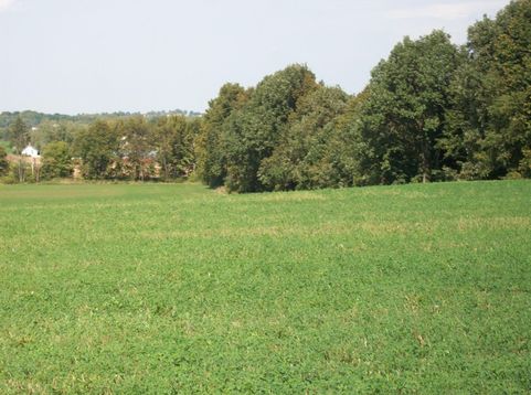 Main Photo