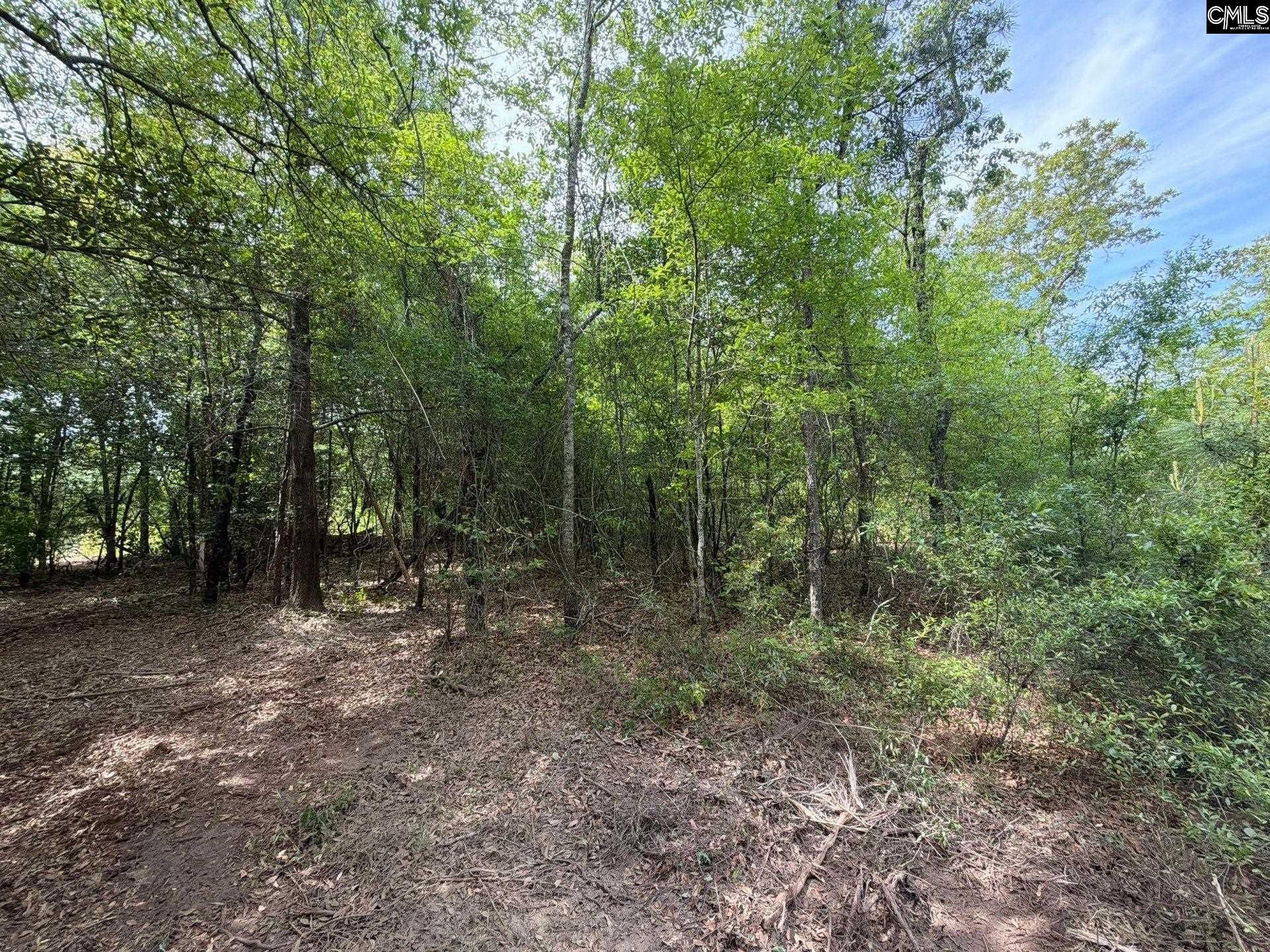 Rrf 2 Rogers Cemetery Road  Photo 7