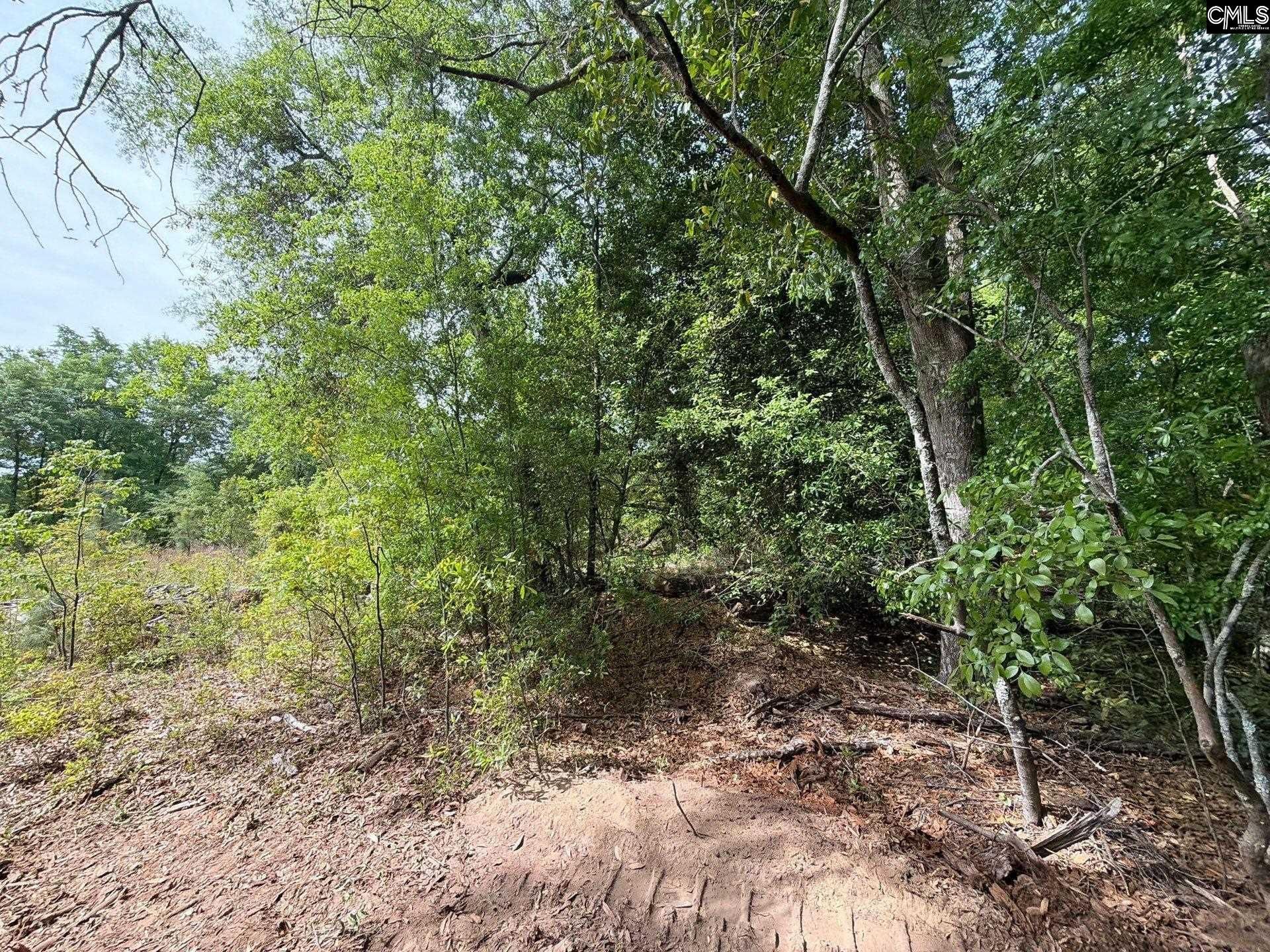 Rrf 2 Rogers Cemetery Road  Photo 9