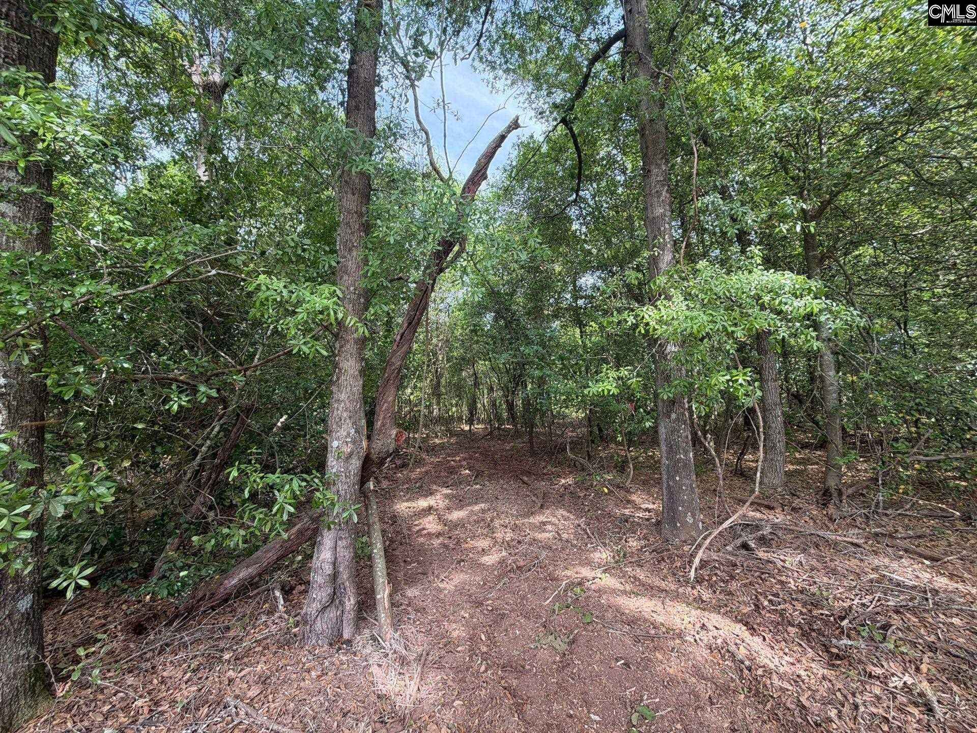 Rrf 2 Rogers Cemetery Road  Photo 10