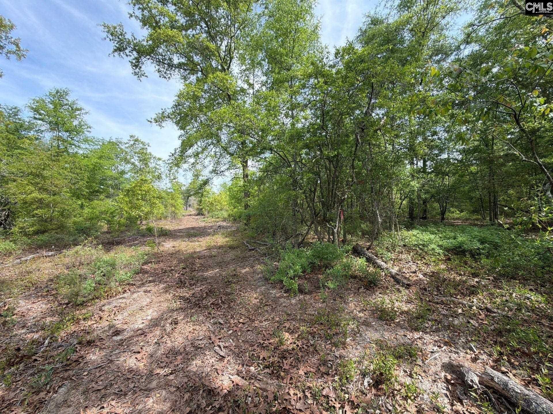 Rrf 2 Rogers Cemetery Road  Photo 12