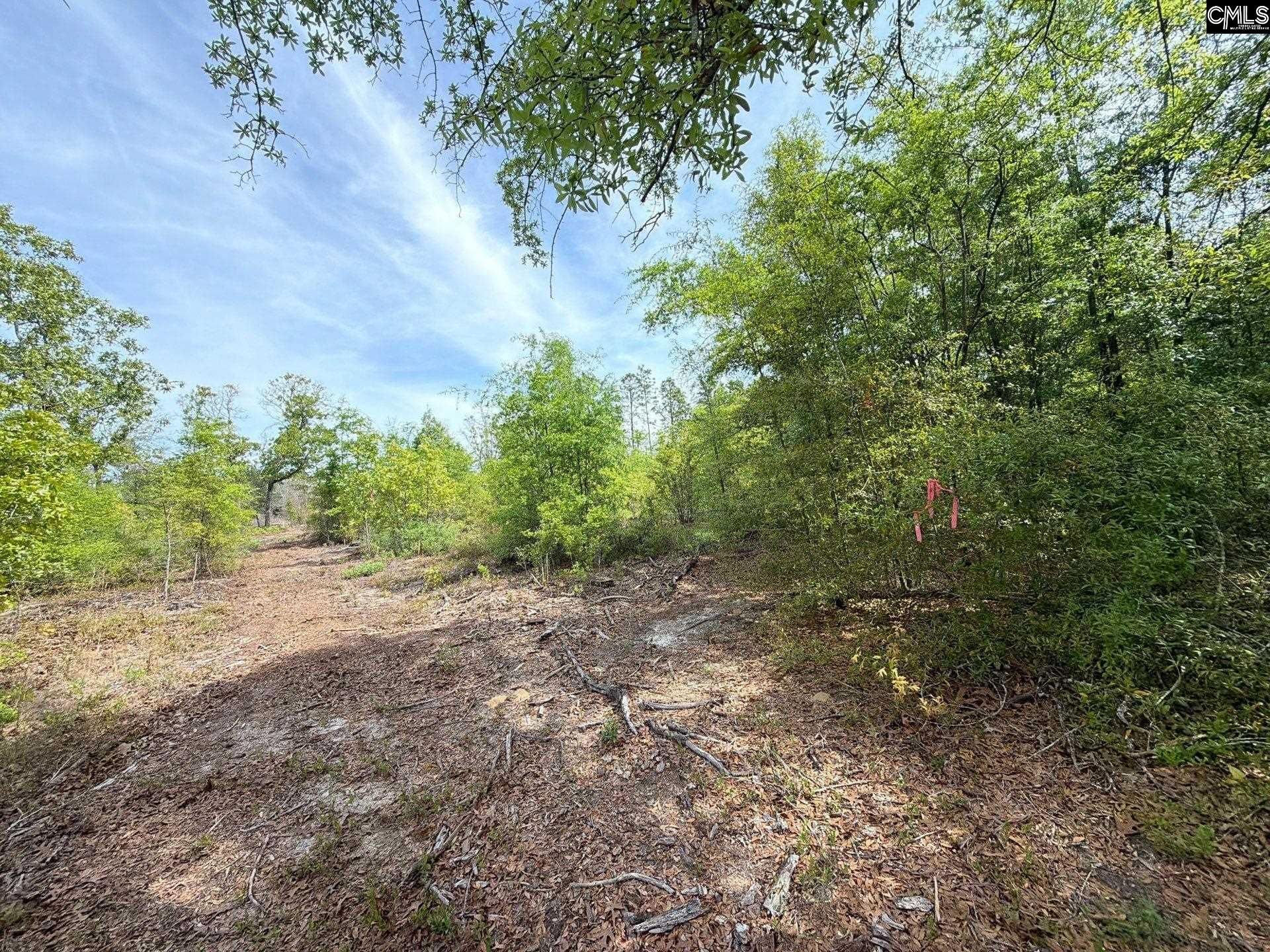 Rrf 2 Rogers Cemetery Road  Photo 13