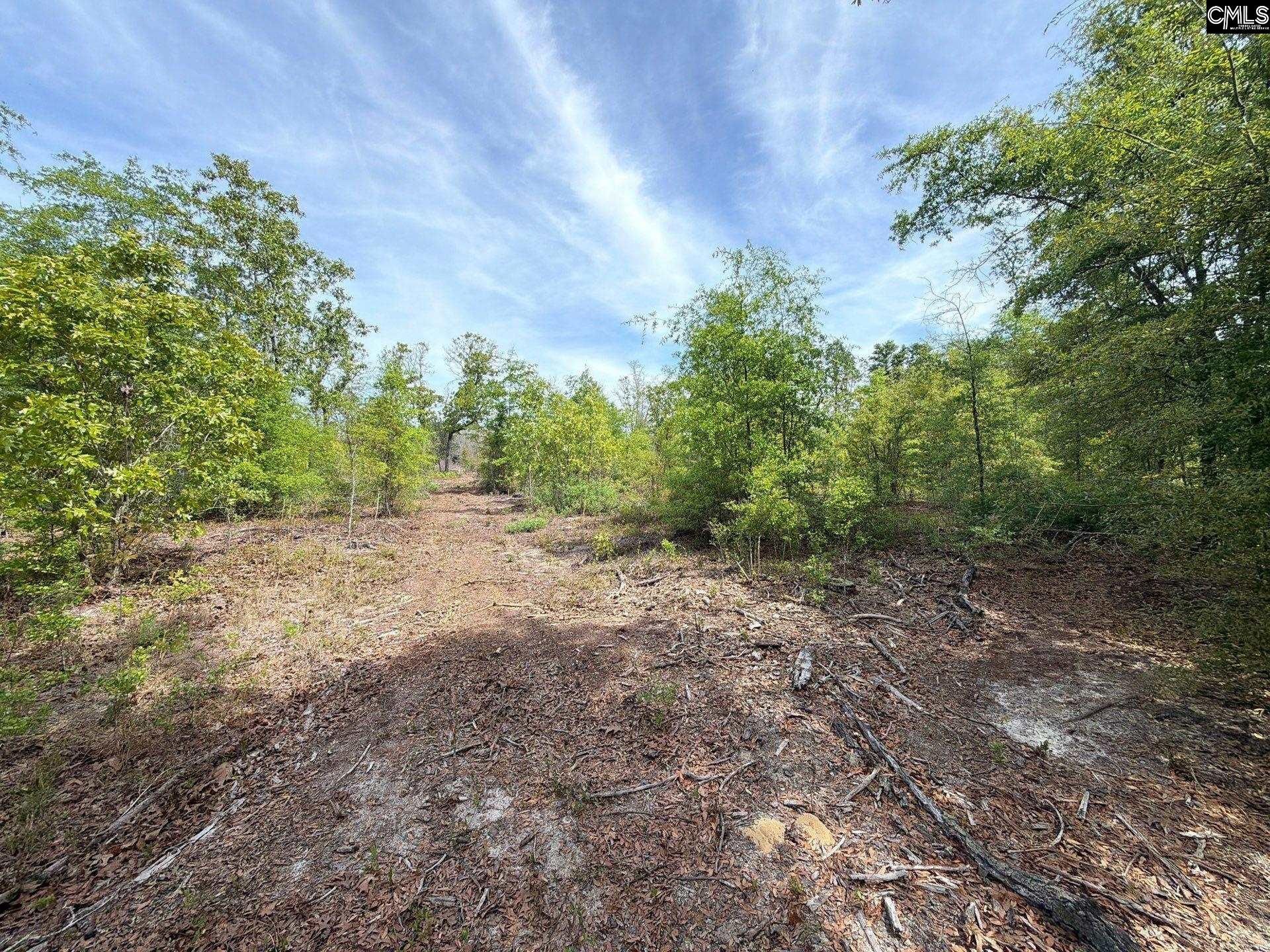 Rrf 2 Rogers Cemetery Road  Photo 14