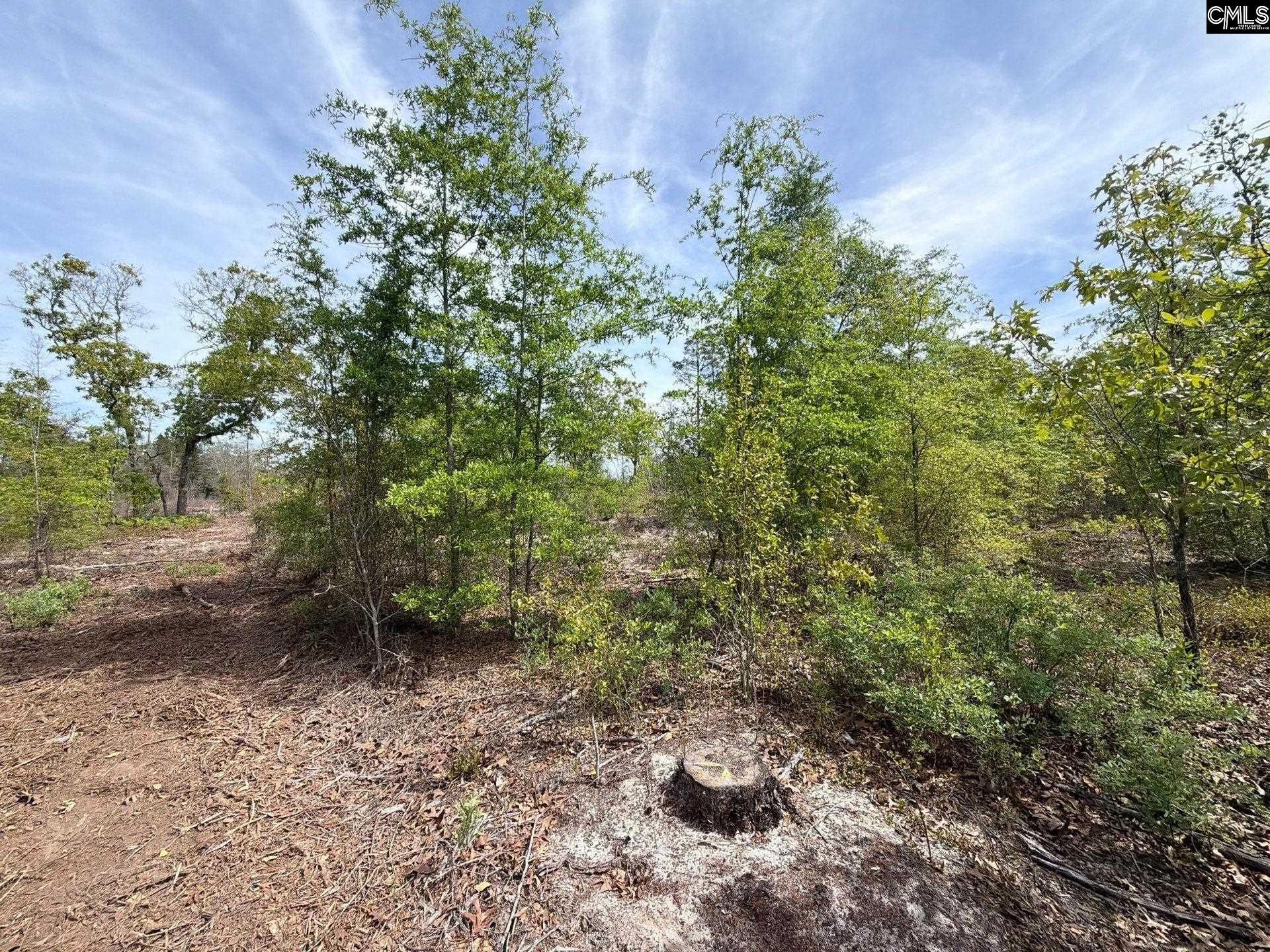 Rrf 2 Rogers Cemetery Road  Photo 15