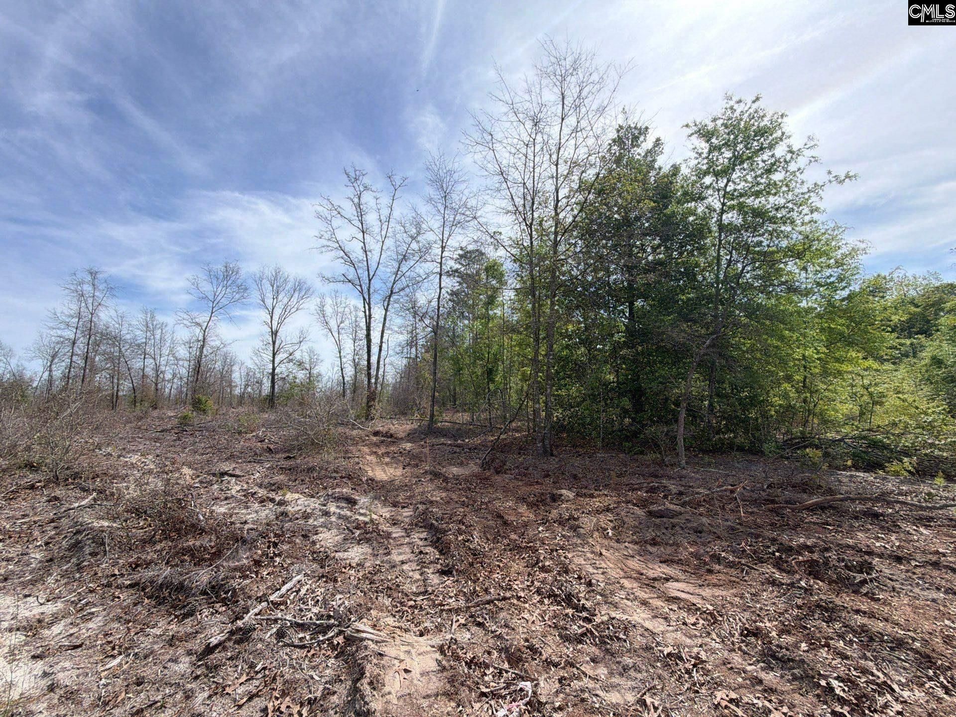 Rrf 2 Rogers Cemetery Road  Photo 17