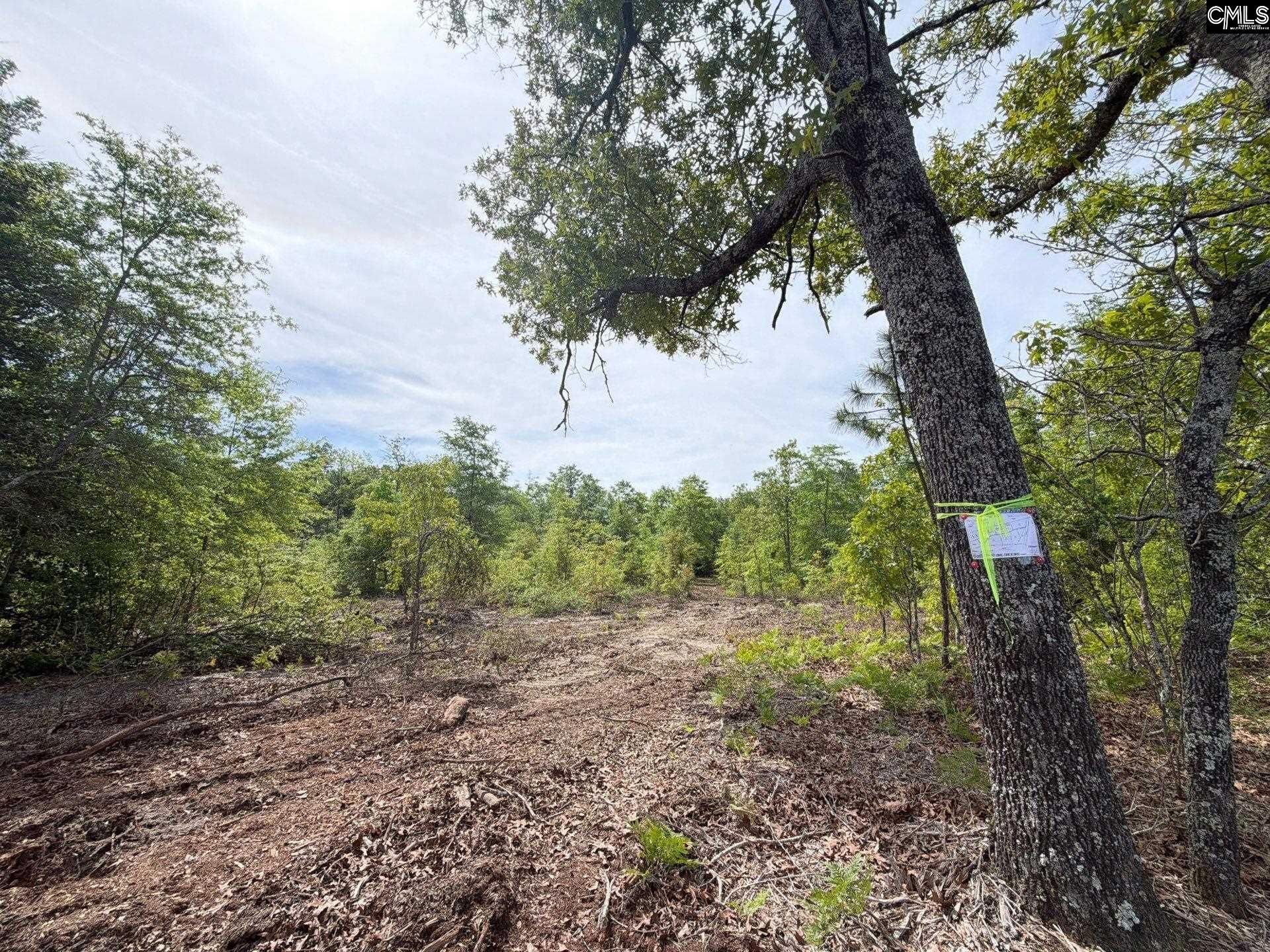 Rrf 2 Rogers Cemetery Road  Photo 18