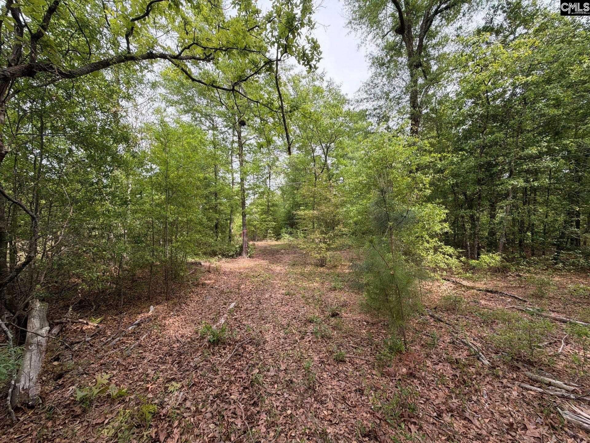 Rrf 2 Rogers Cemetery Road  Photo 19