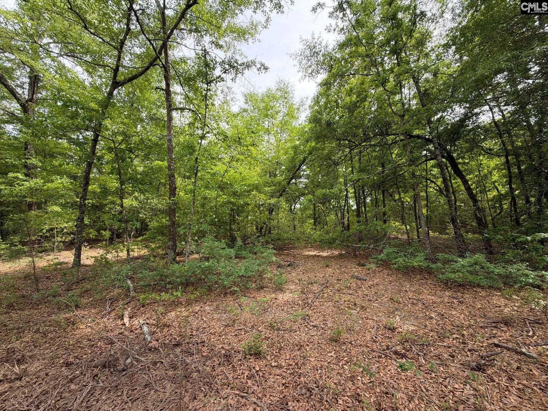 Rrf 2 Rogers Cemetery Road  Photo 20