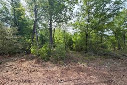 Rrf 2 Rogers Cemetery Road  photo 4