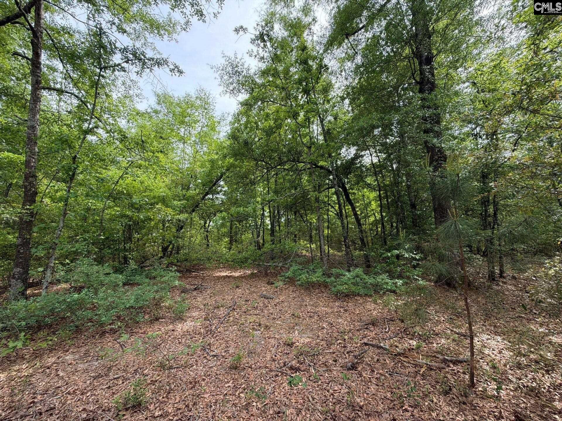 Rrf 2 Rogers Cemetery Road  Photo 21