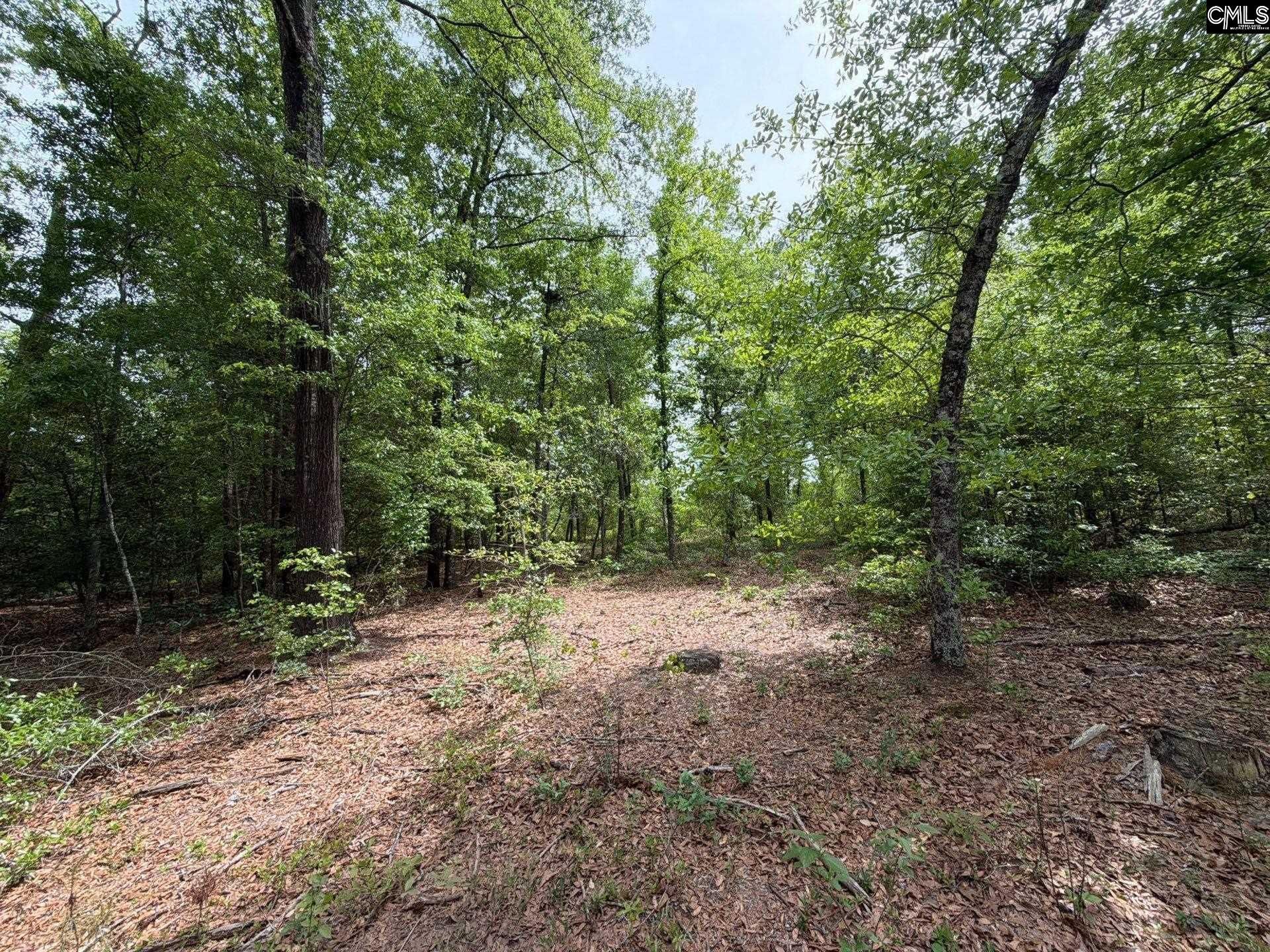 Rrf 2 Rogers Cemetery Road  Photo 22