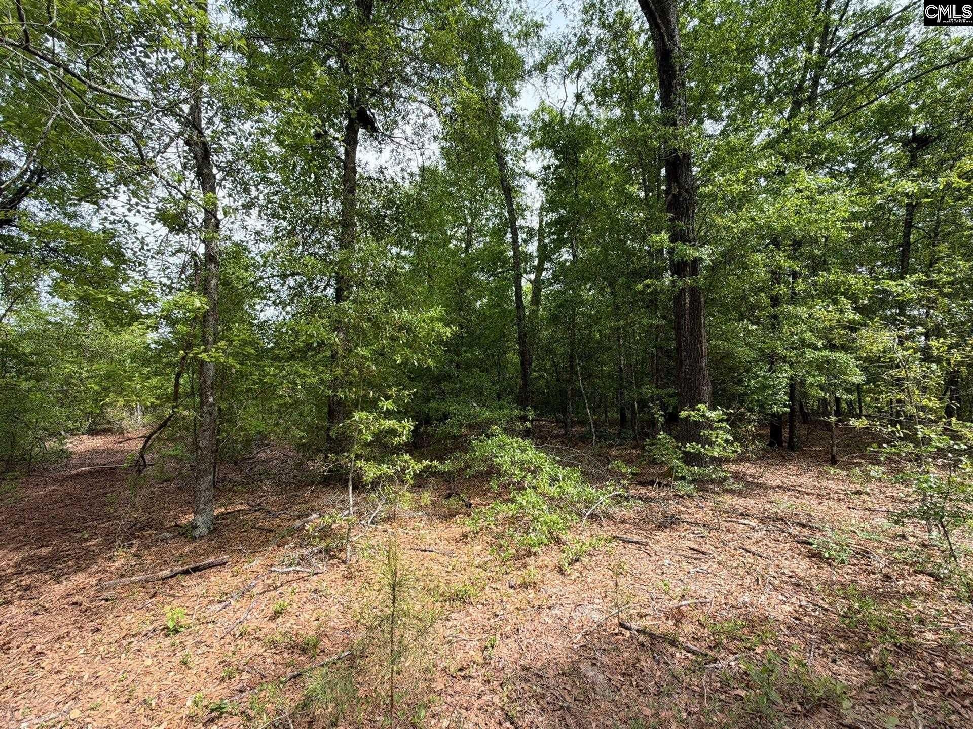 Rrf 2 Rogers Cemetery Road  Photo 23