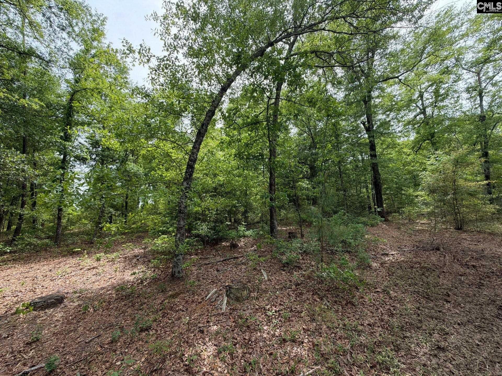 Rrf 2 Rogers Cemetery Road  Photo 24