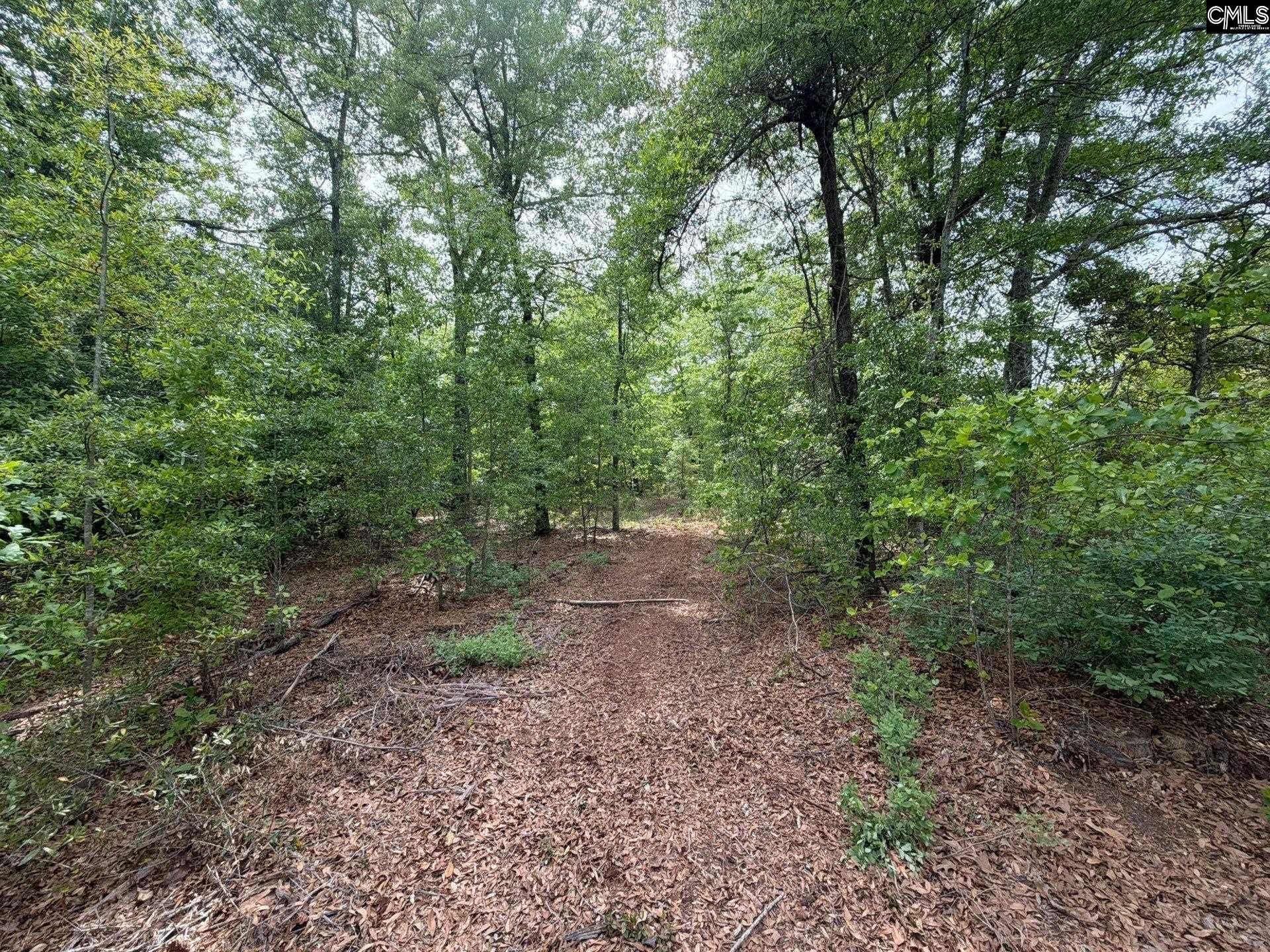 Rrf 2 Rogers Cemetery Road  Photo 26