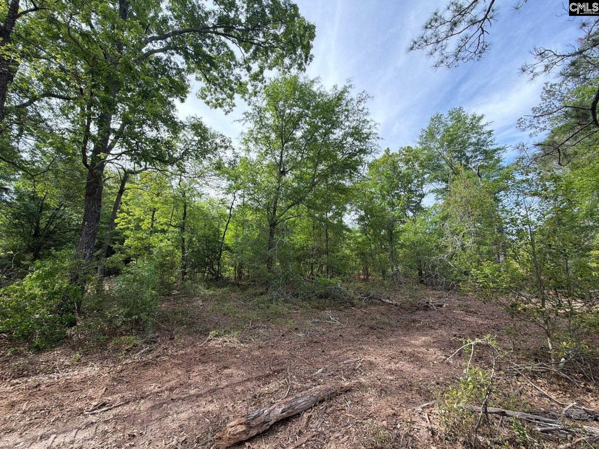 Rrf 2 Rogers Cemetery Road  Photo 4