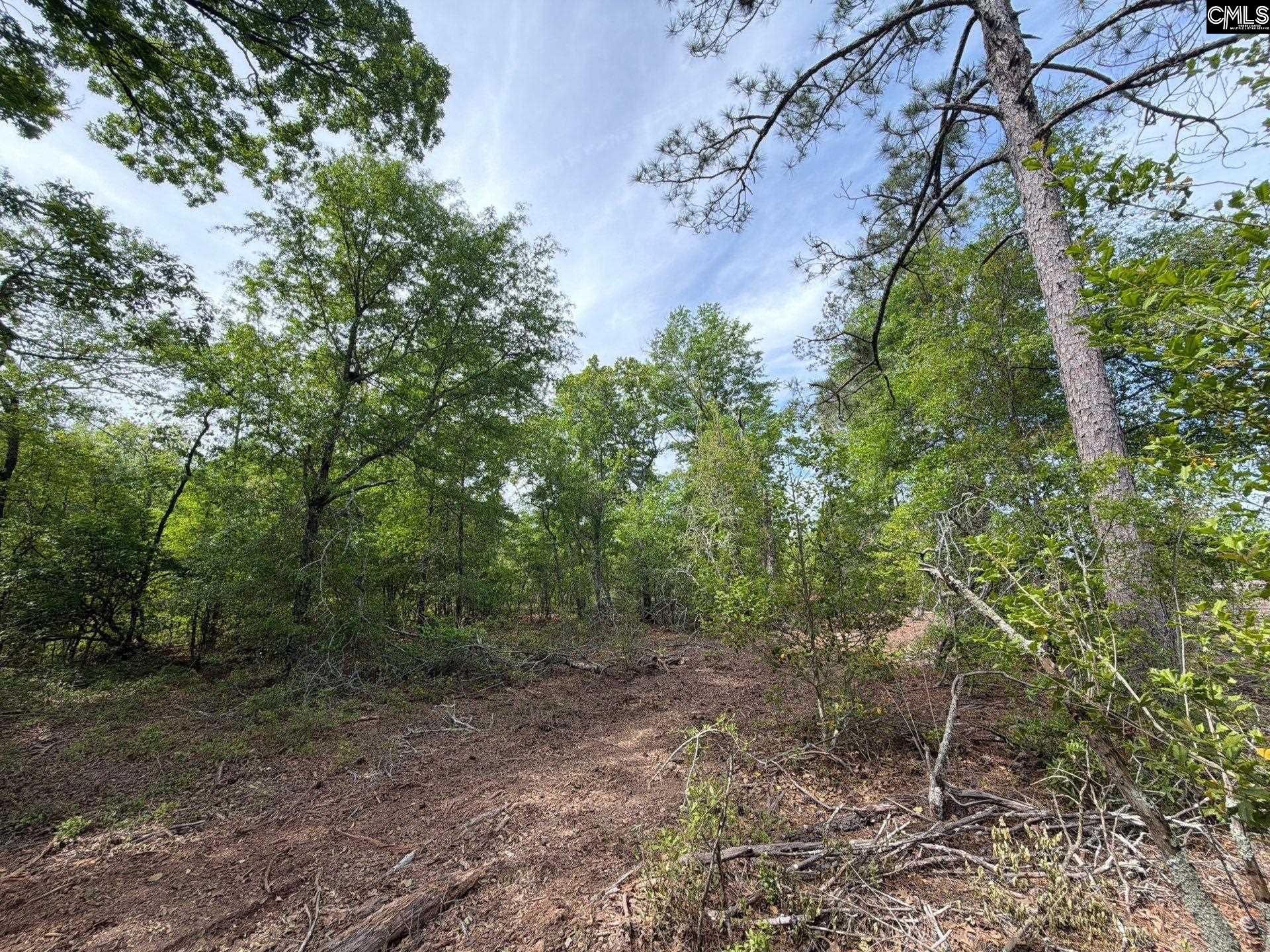 Rrf 2 Rogers Cemetery Road  Photo 5