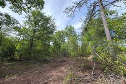 Rrf 2 Rogers Cemetery Road  photo 4