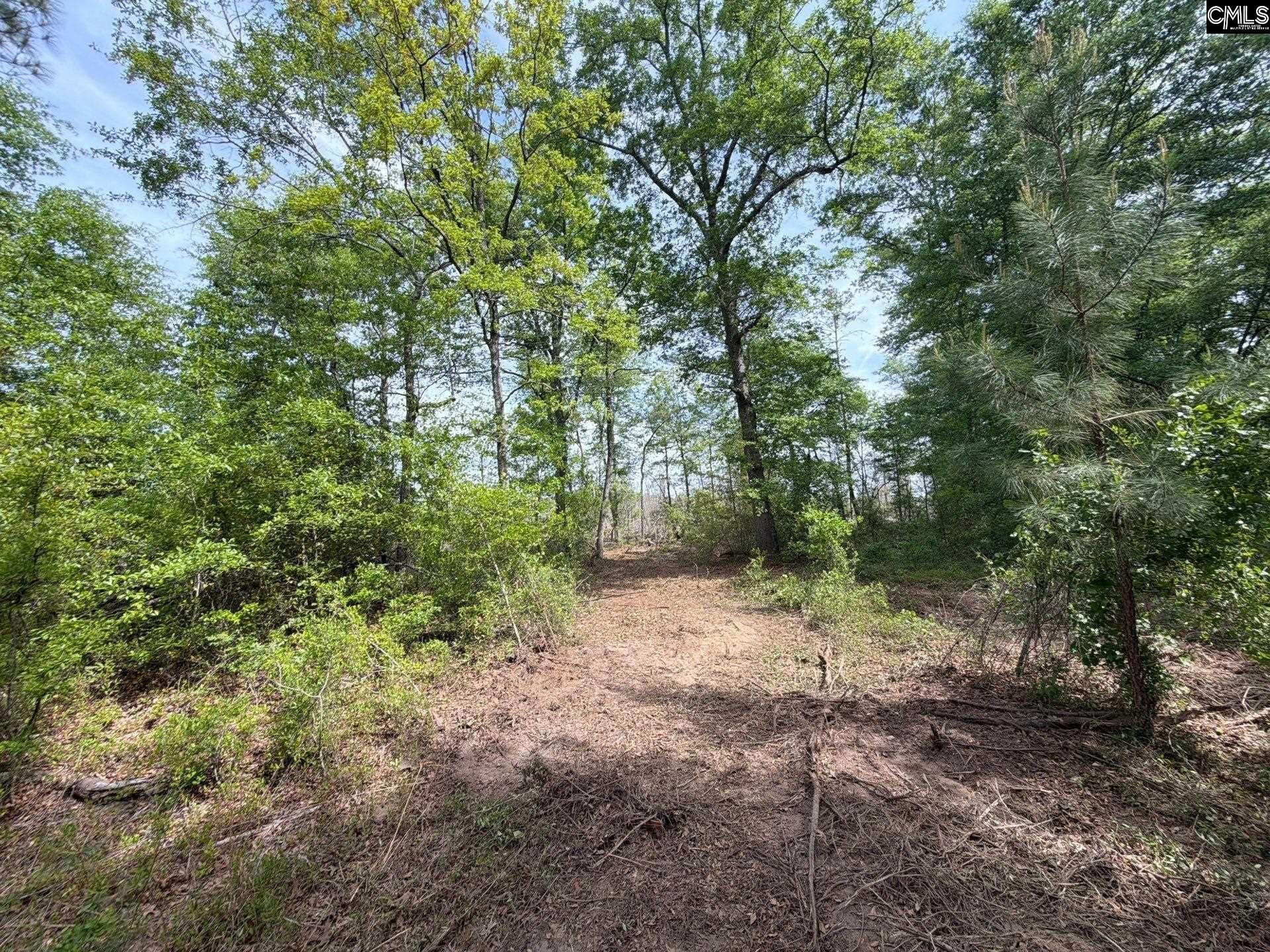 Rrf 2 Rogers Cemetery Road  Photo 6