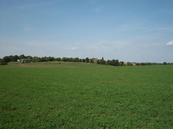 Lt1 WILSON DRIVE, Allenton, WI 53002