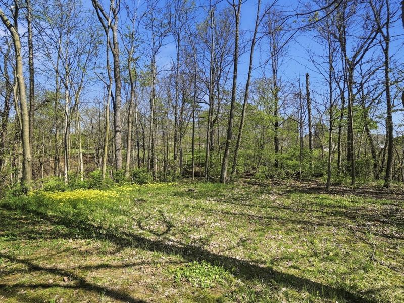 145 Winding Valley Drive, Delaware, OH 43015 Photo 5