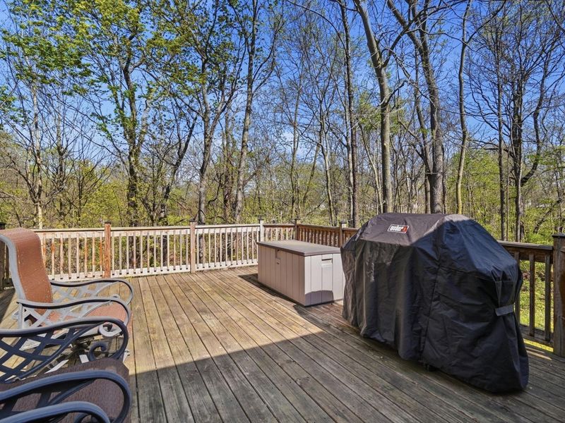 145 Winding Valley Drive, Delaware, OH 43015 Photo 51