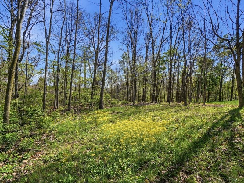 145 Winding Valley Drive, Delaware, OH 43015 Photo 6